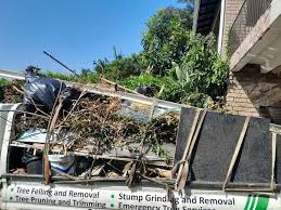 Best Construction Debris Removal  in Gassville, AR